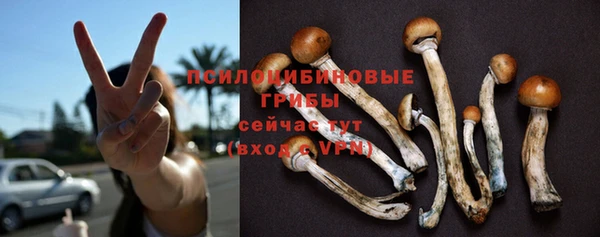 бошки Абдулино