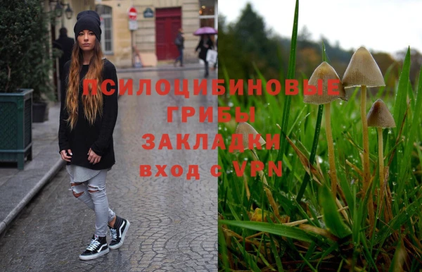 винт Абаза