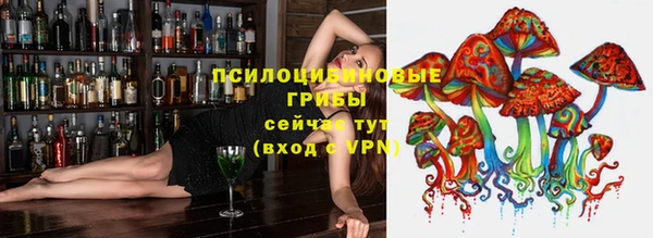 бошки Абдулино