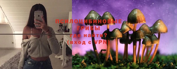 бошки Абдулино